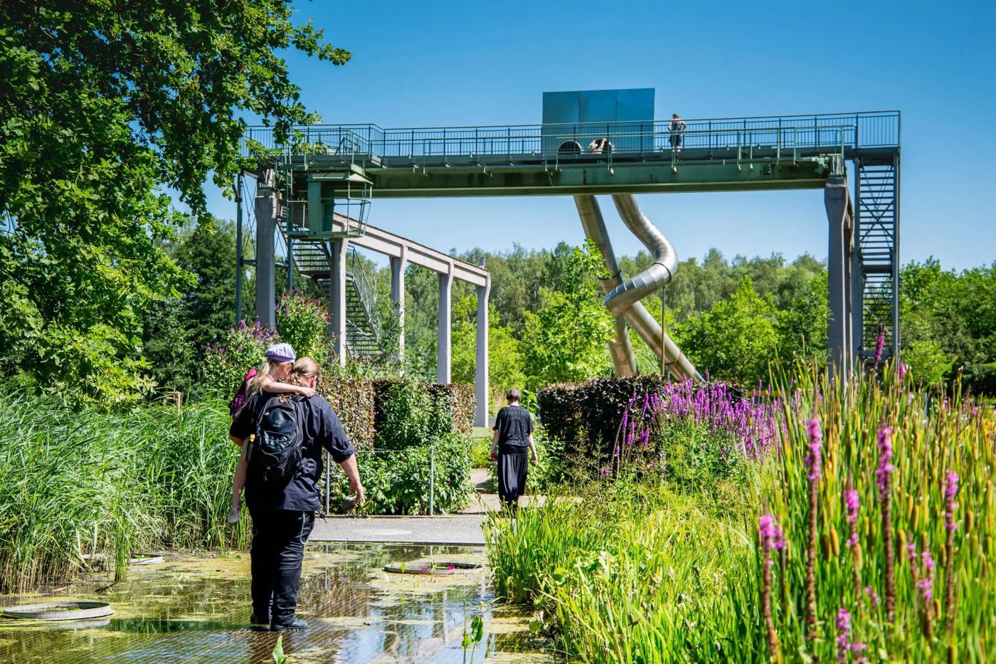 Blühende Staudenbeete am Wasser im Familiengarten Eberswalde