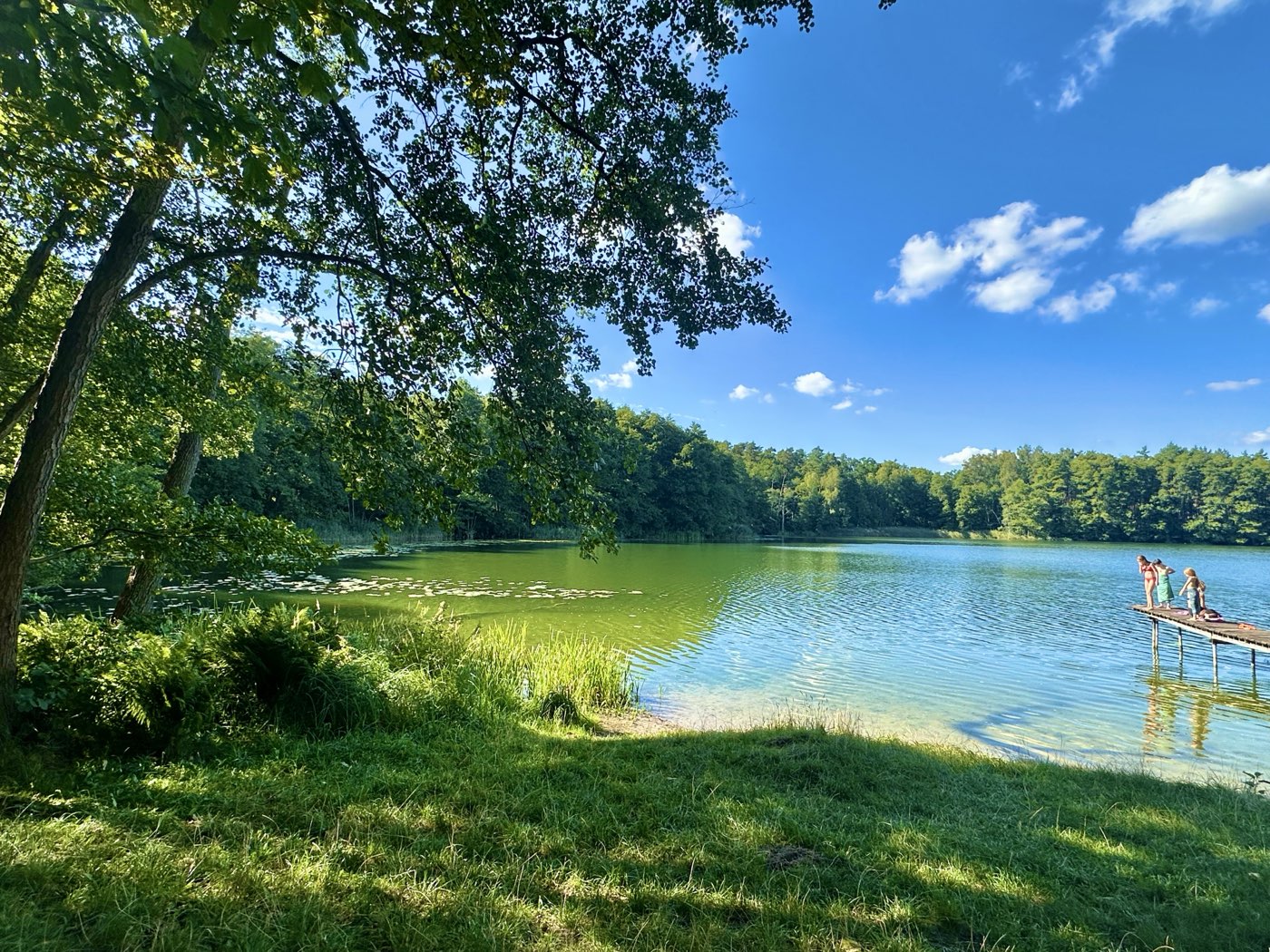 Badestelle mit Steg am Heiligen See bei Grumsin