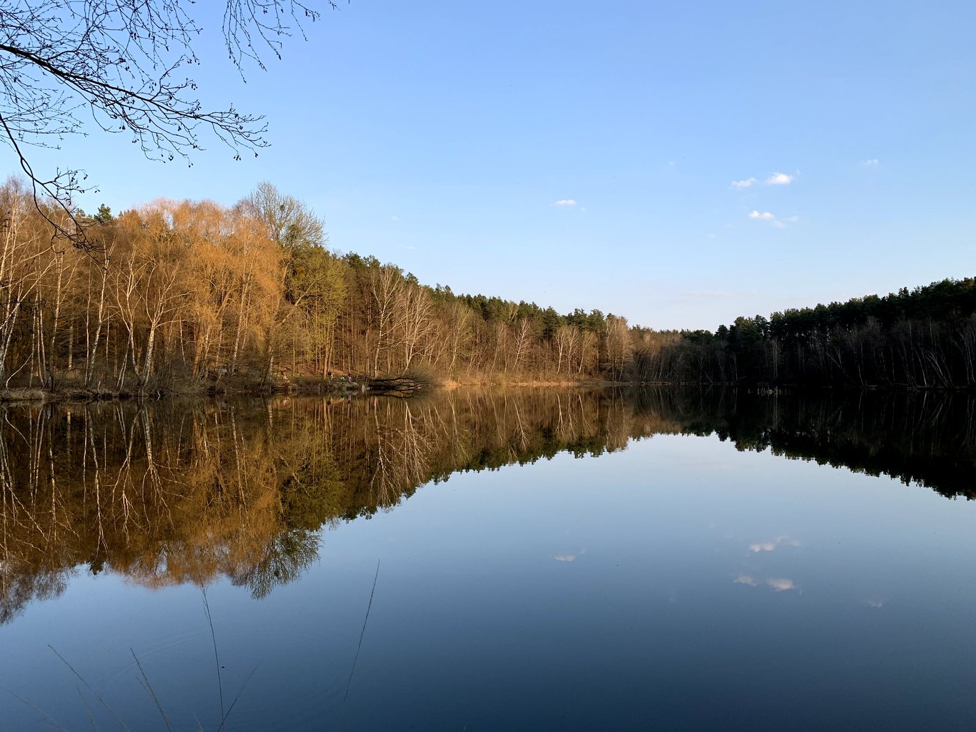 Spiegelglatter Lubowsee vor herbstlichem Waldrand