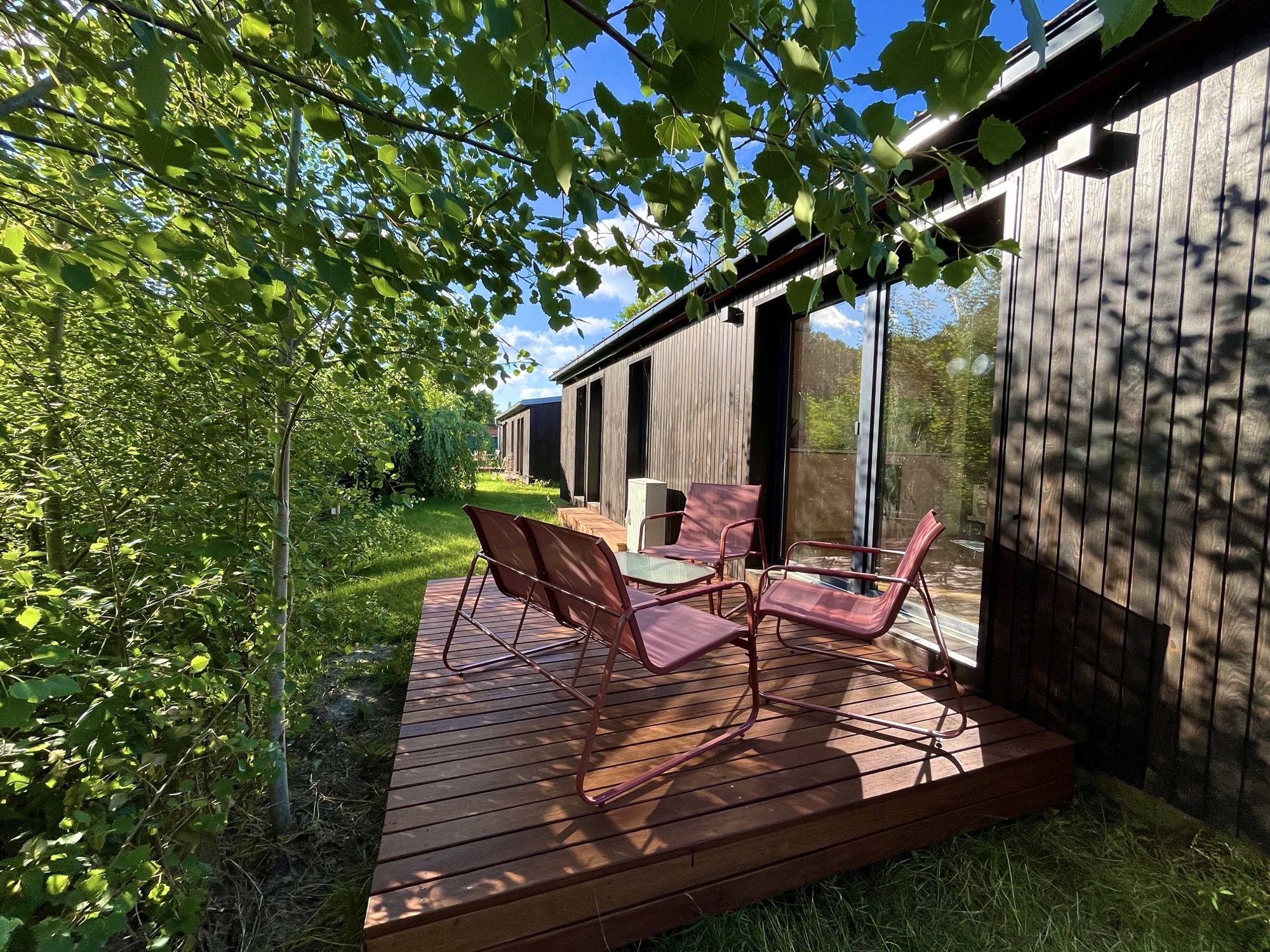 Terrasse von Haus 2 unter Birken