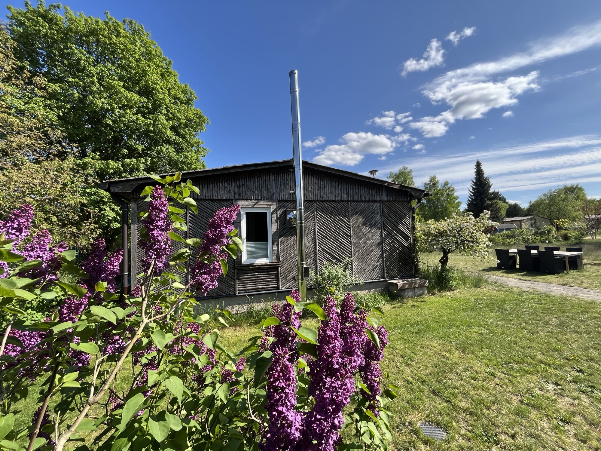 Flieder vor dem Holzbungalow von Haus 8