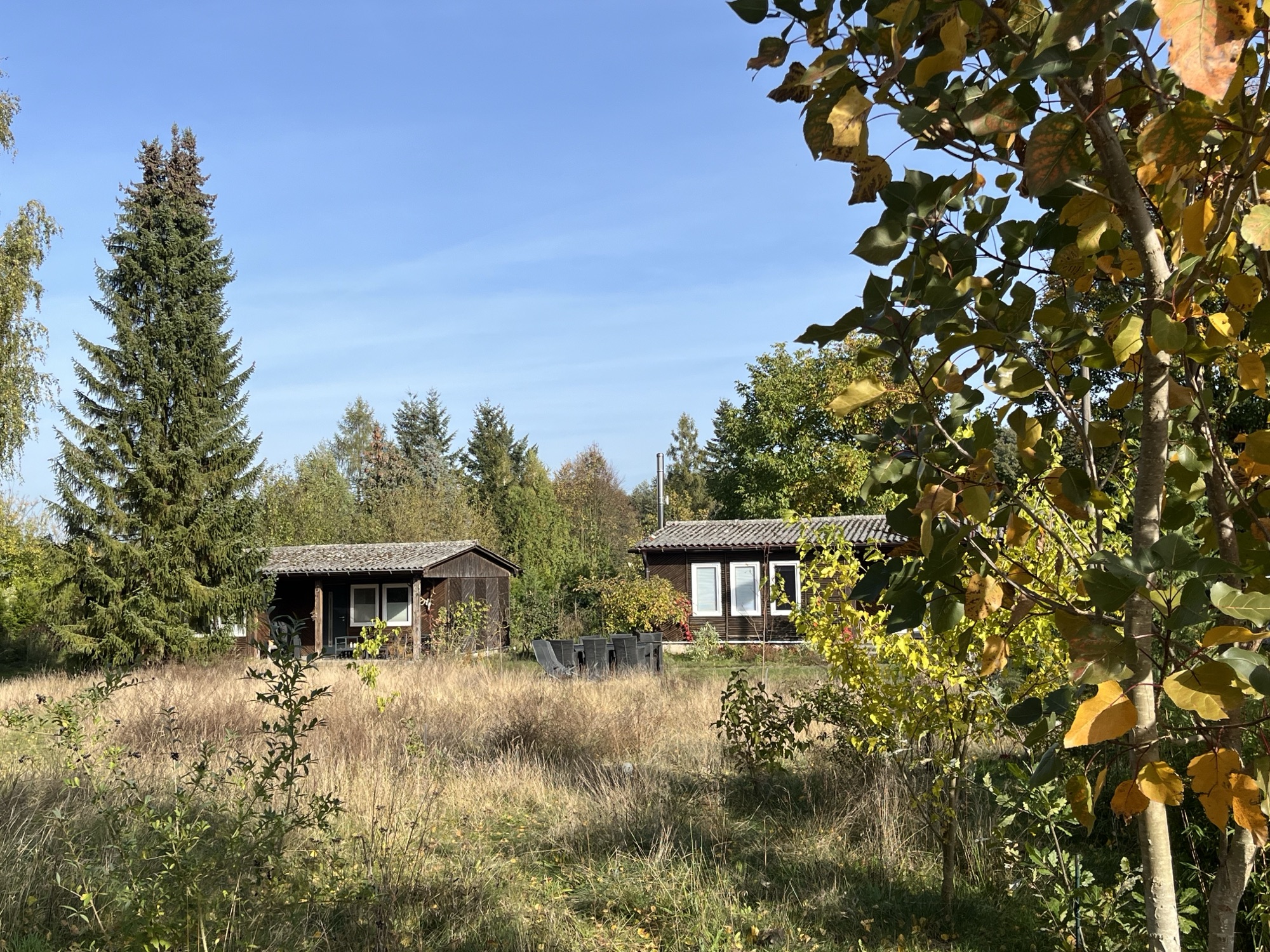 Haus 8 zwischen Wiese und Kiefern im Herbstlicht