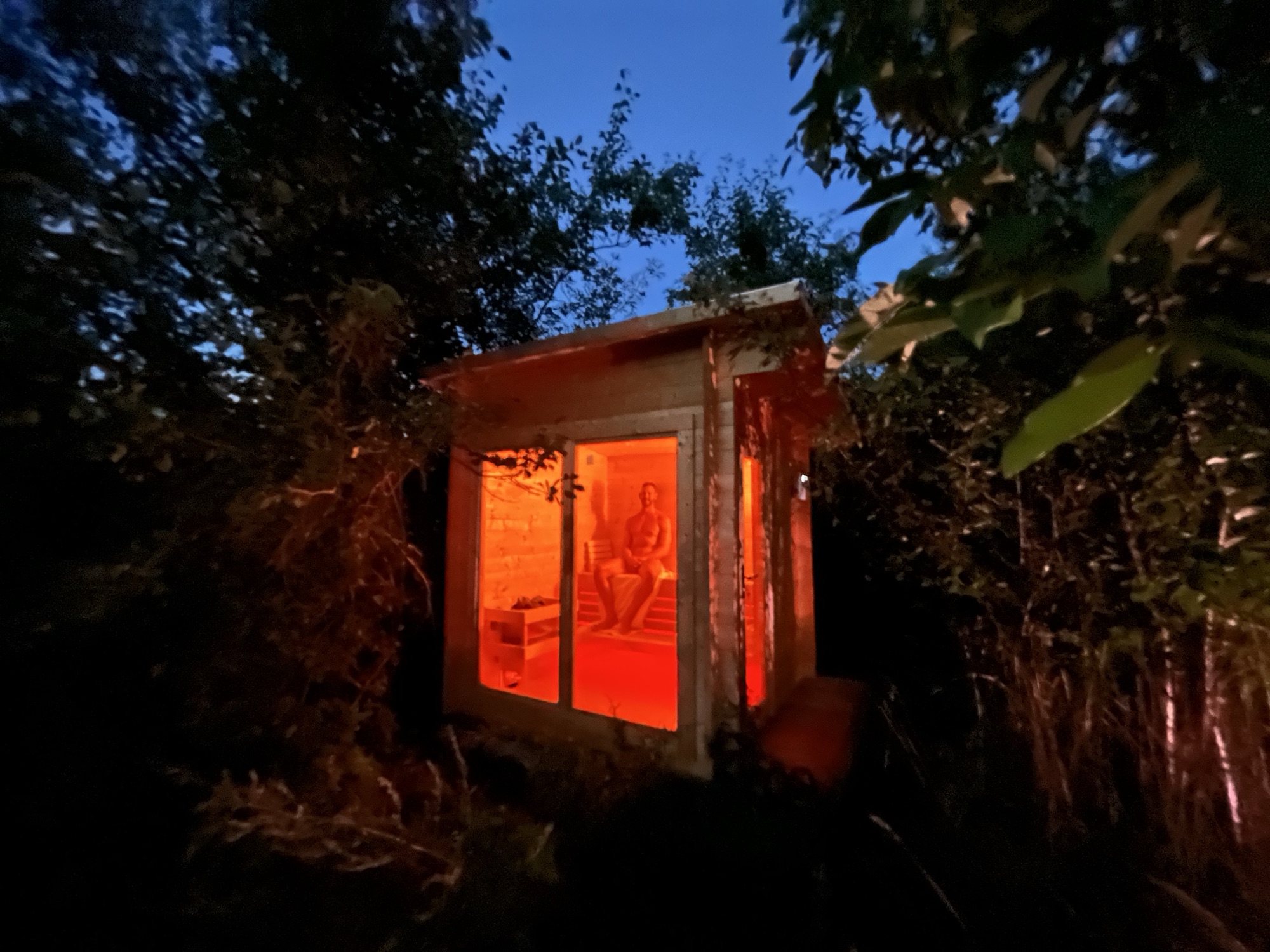 Beleuchtete Gartensauna am Abend zwischen Sträuchern