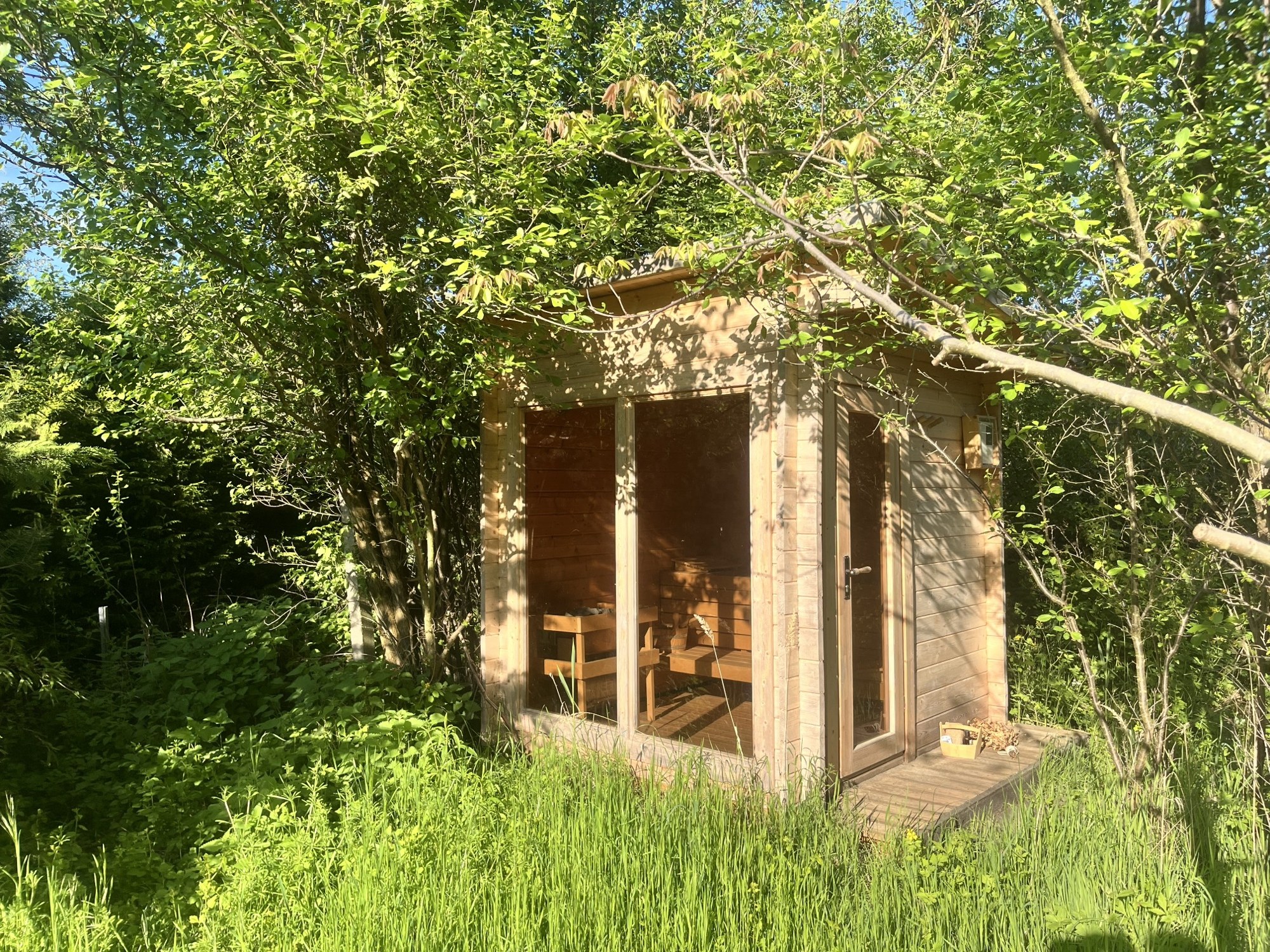 Gartensauna im hohen Sommergrün