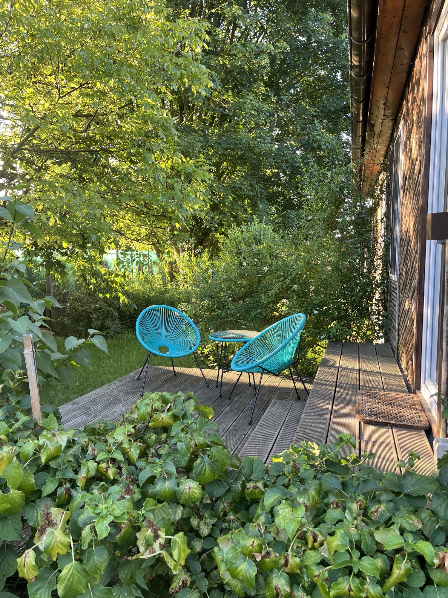 Terrasse mit türkisen Sesseln im dichten Grün
