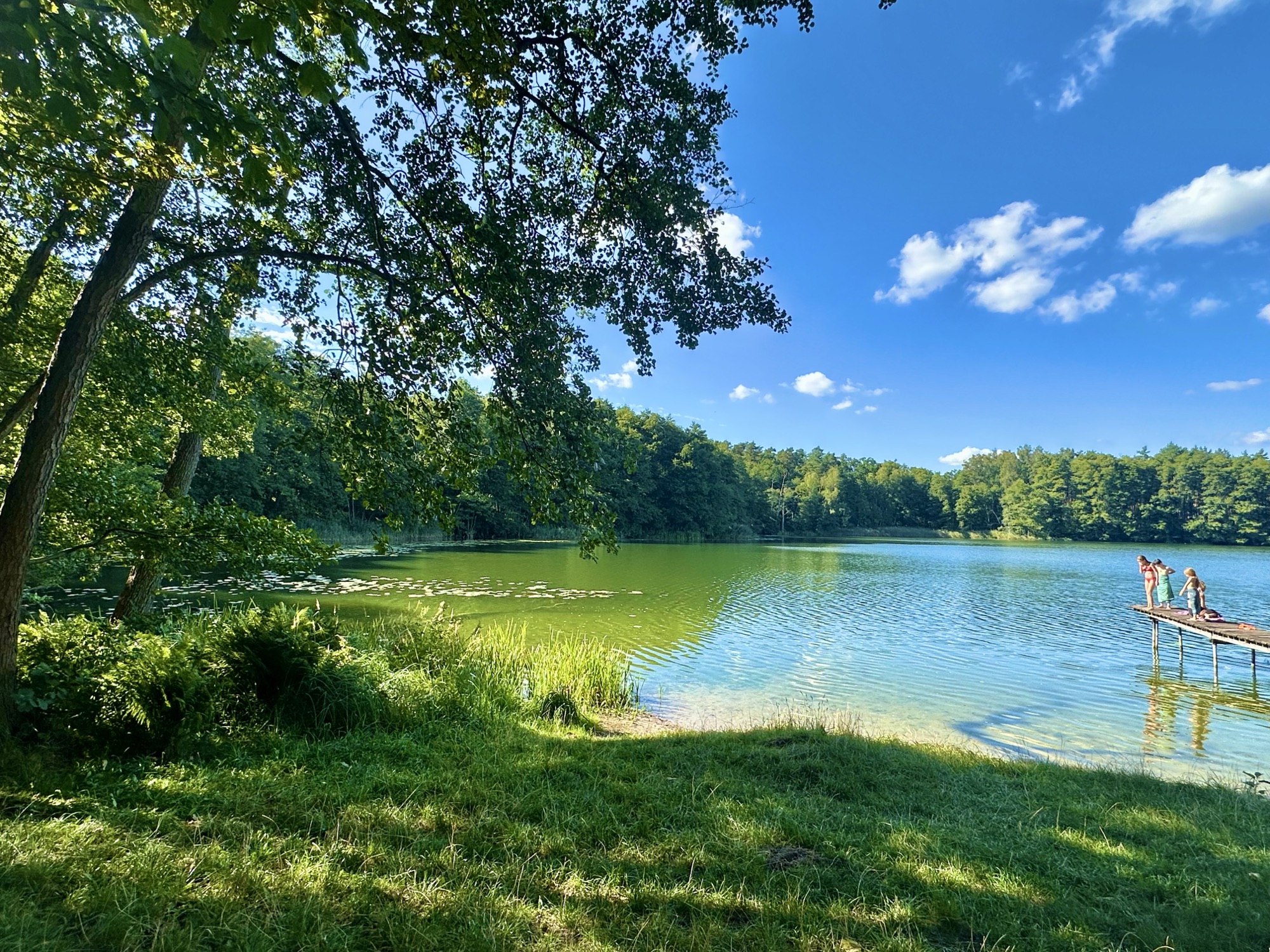 Badestelle mit Steg am Heiligen See bei Grumsin
