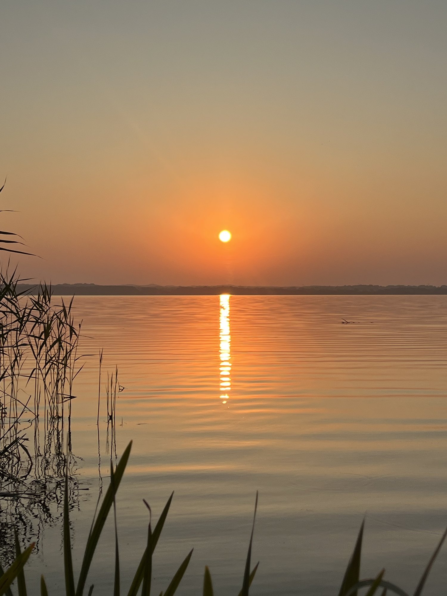 Tief stehende Sonne über der spiegelglatten Seefläche
